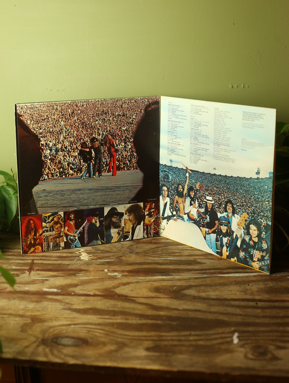 Skynyrd's First And...