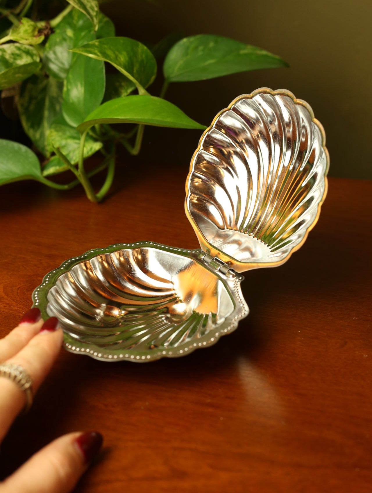 Shell jewelry box