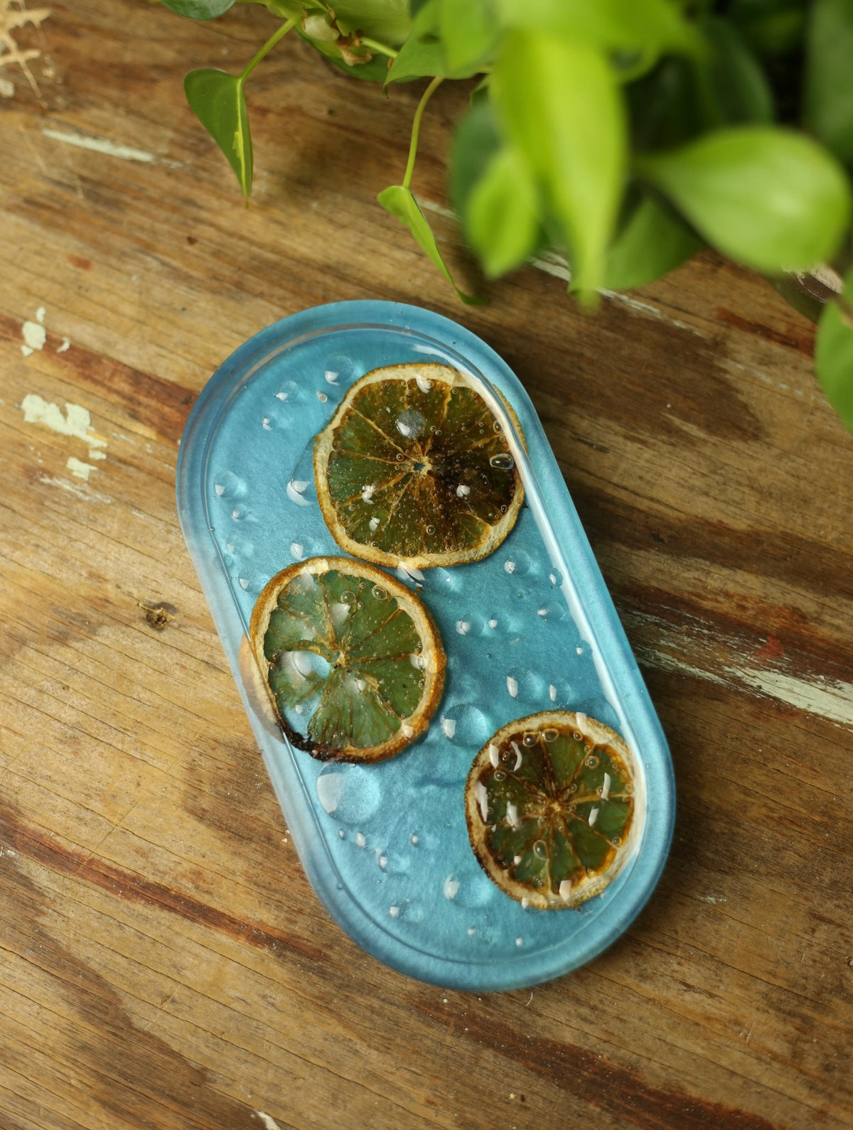 Droplets & Orange Slices Resin Incense Holder
