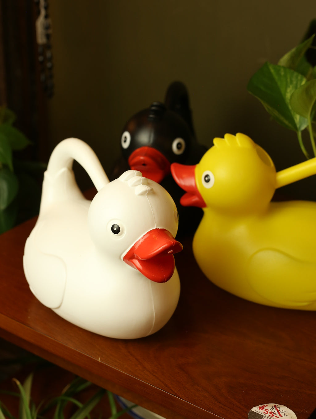Duck Watering Can
