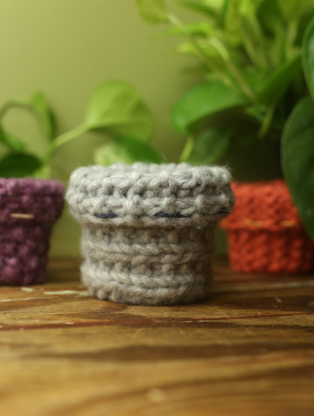 Plant Sweaters 2.5 inch
