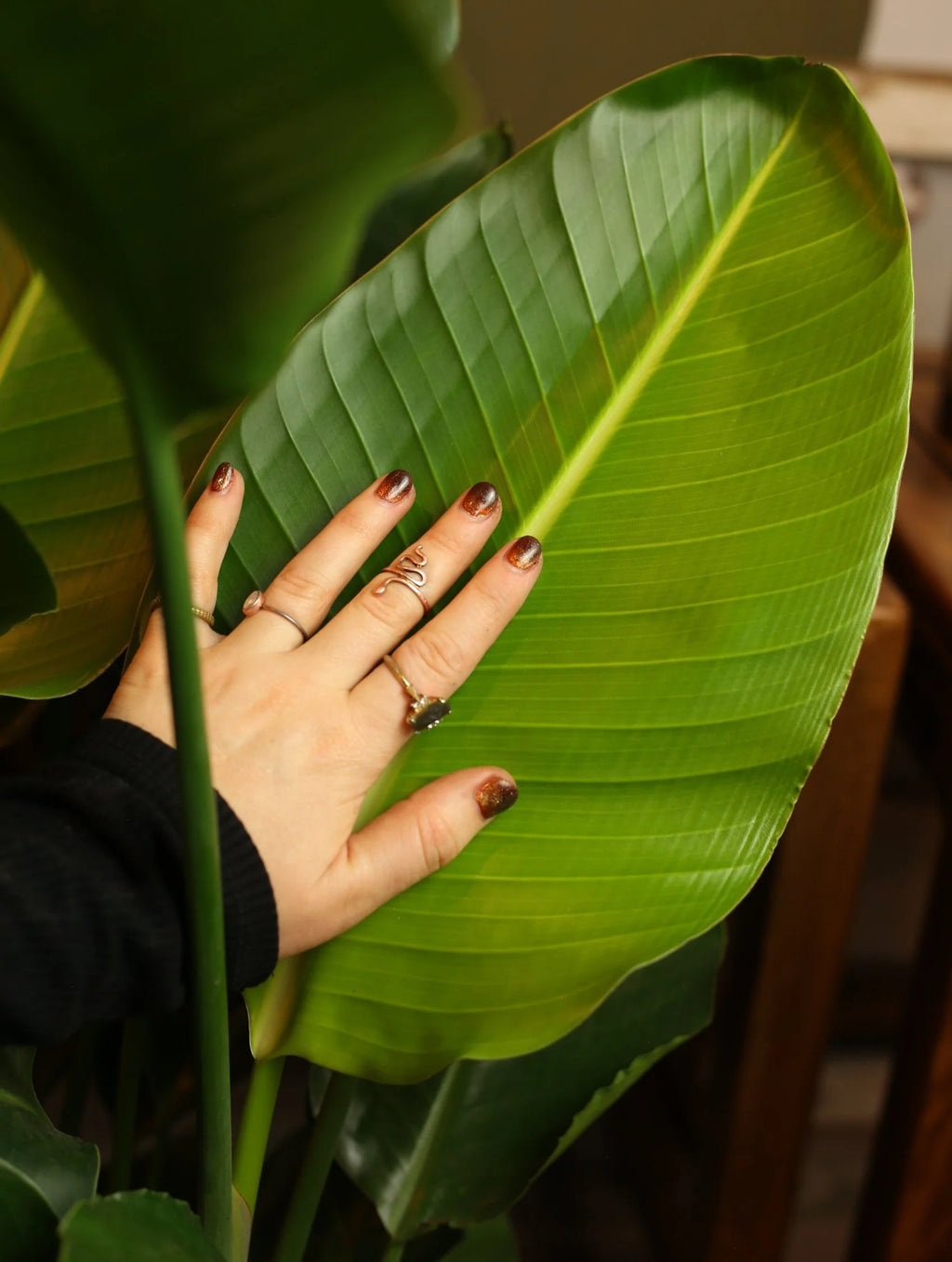 Bird of Paradise 10 Inch