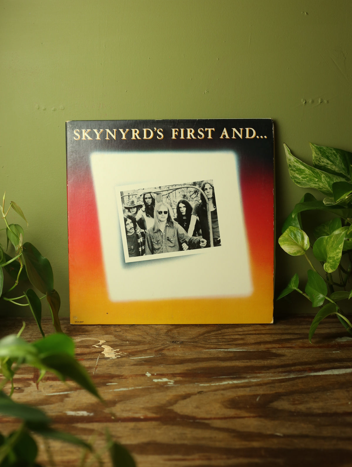 Skynyrd's First And...