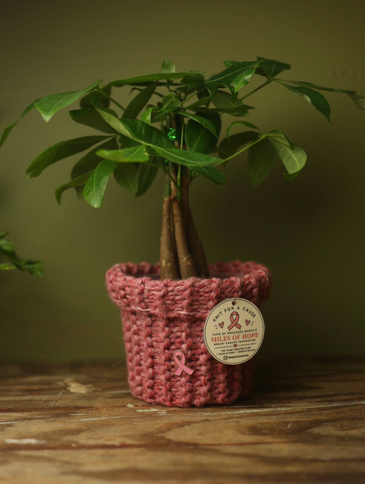 'Knit For A Cause' Plant Sweater 5 Inch - Dusty Pink