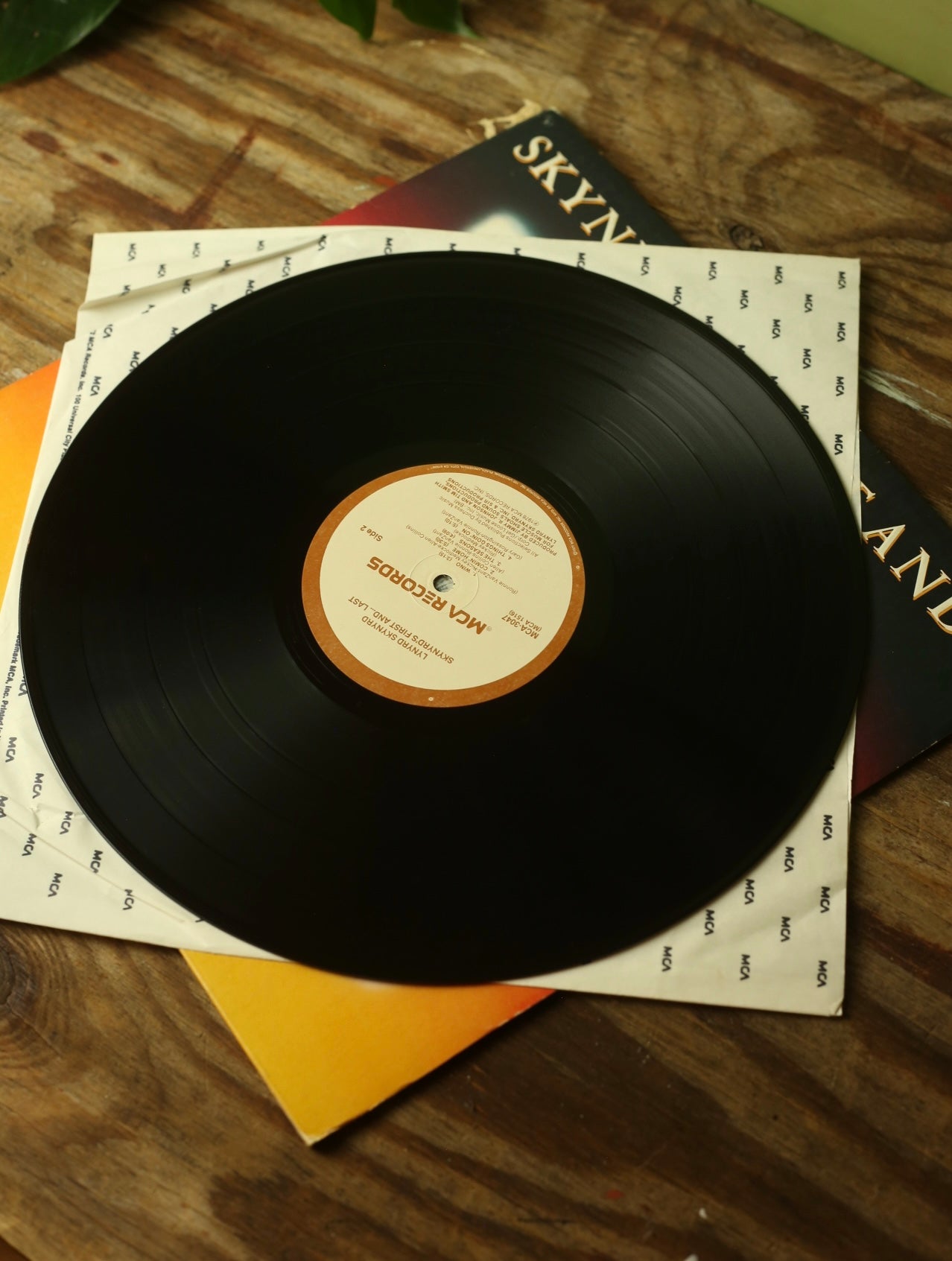 Skynyrd's First And...