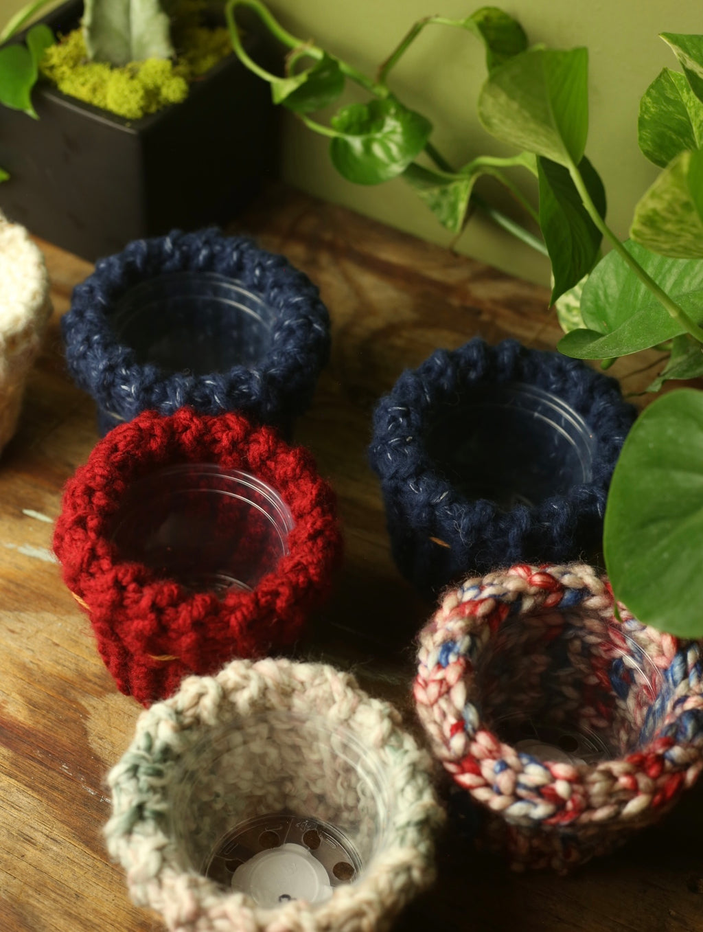 Plant Sweater 3 inch
