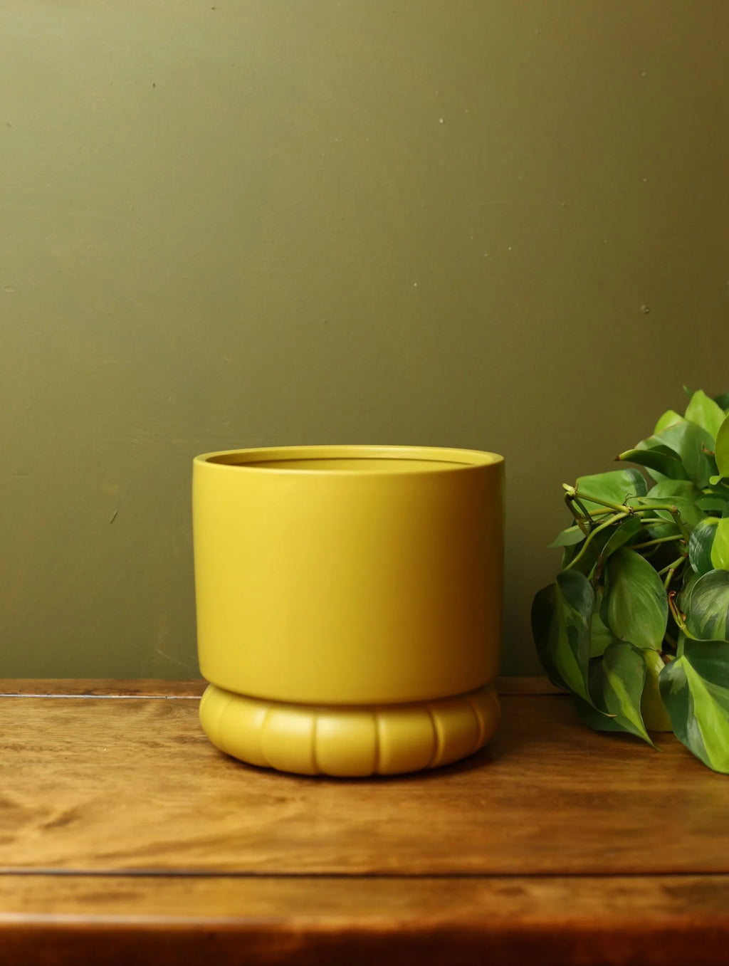 Chartreuse Rib Plant Pot