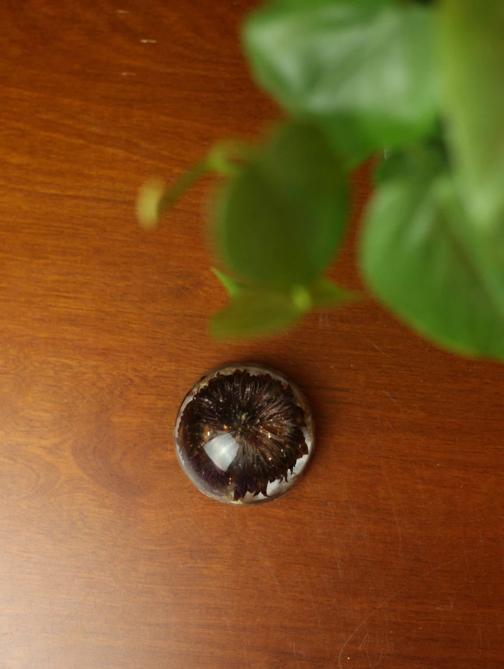 Purple Pompon Flower Resin paperweight