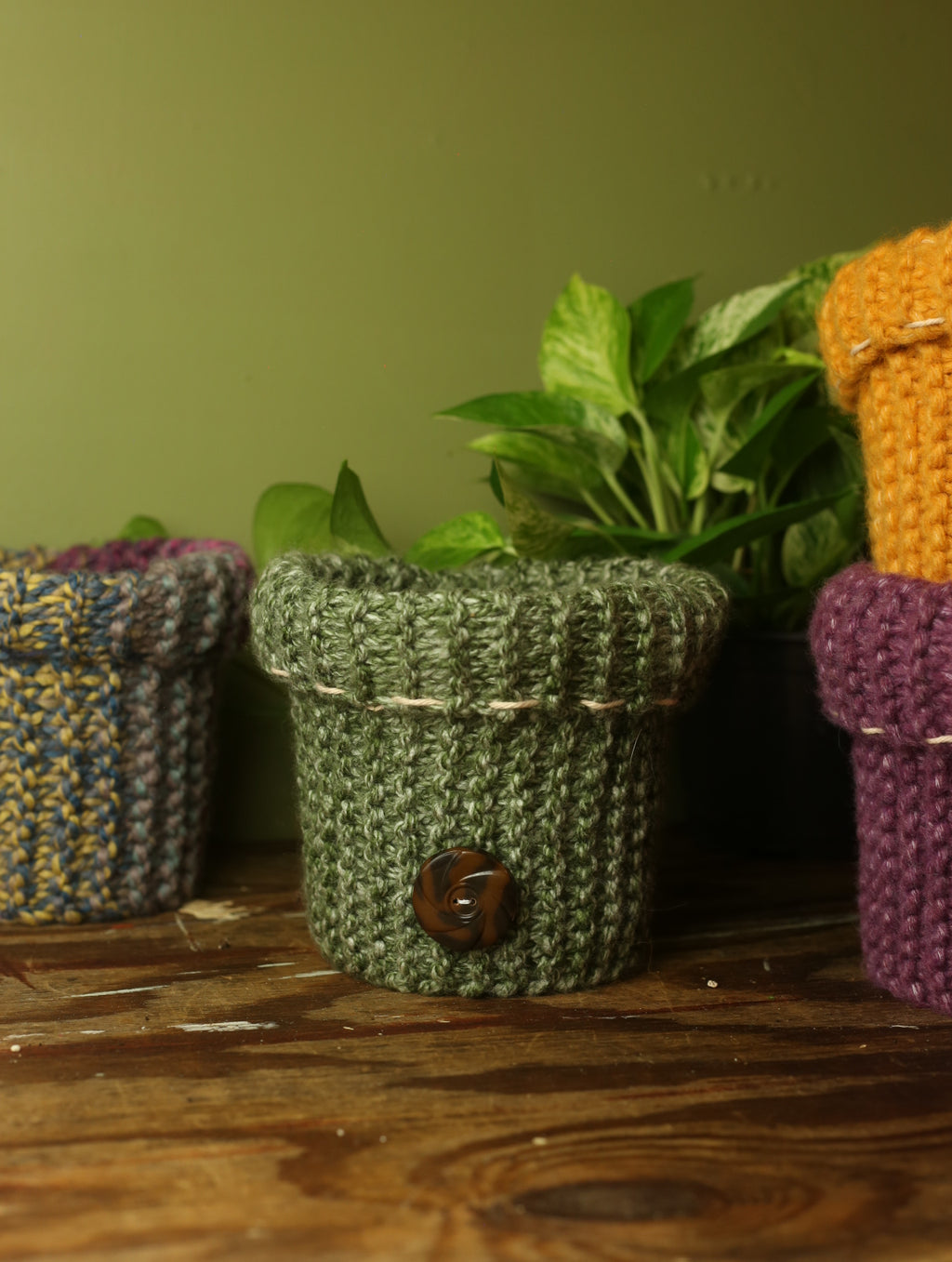 Plant Sweaters 6 inch