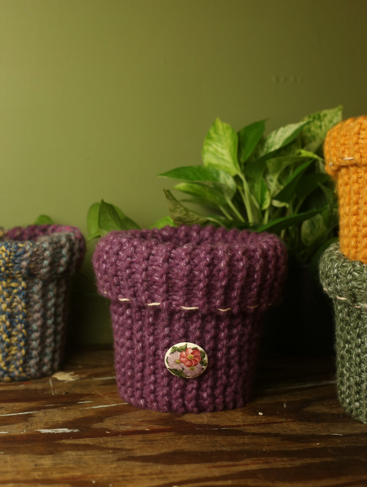 Plant Sweaters 6 inch
