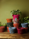 Plant Sweater 4 Inch