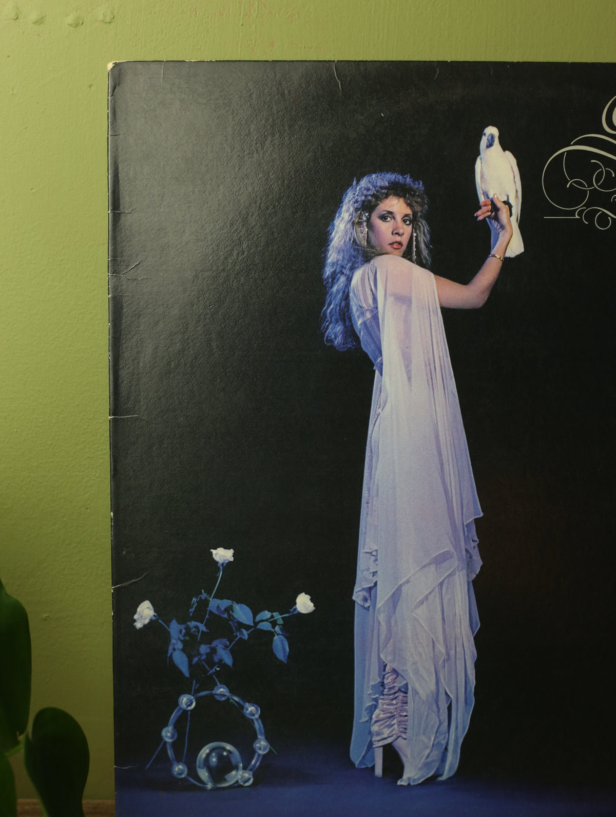Stevie Nicks - Bella Donna