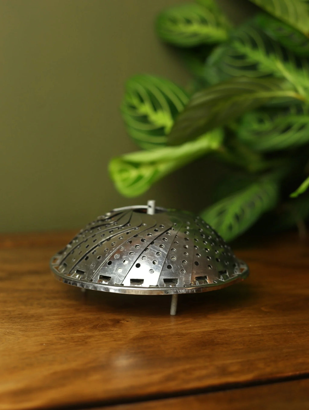 Stainless Steel Vegetable Steamer