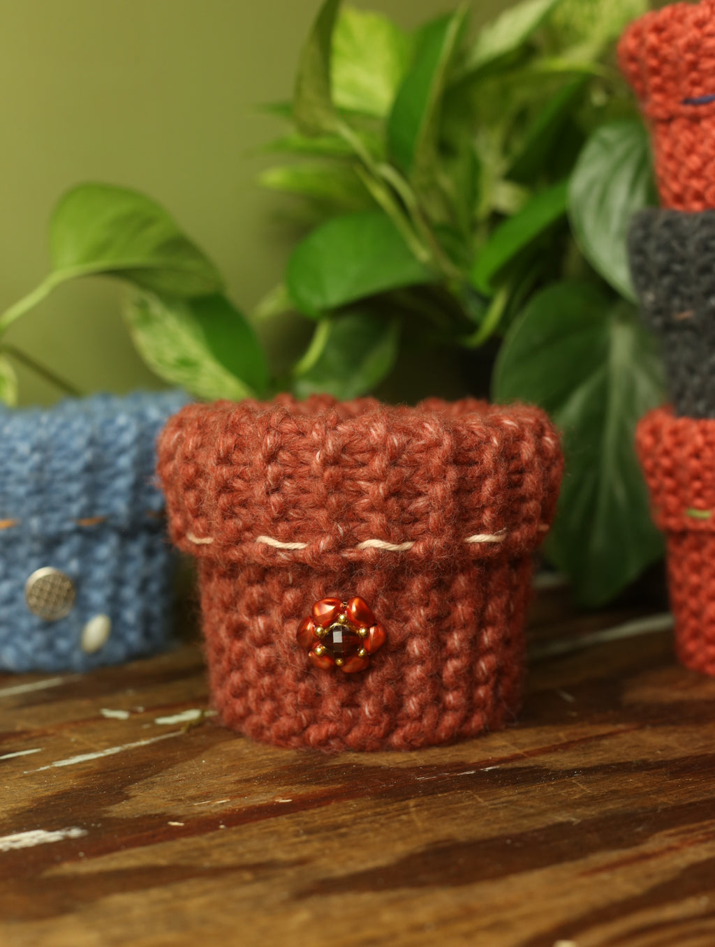 Plant Sweater 4 Inch