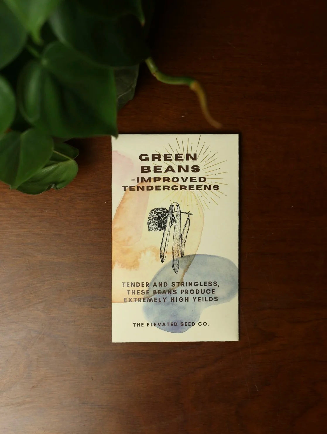 Green Bean Seeds