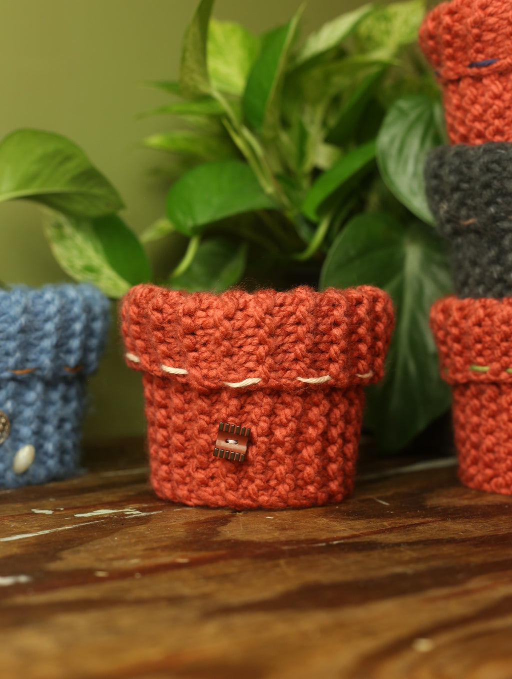Plant Sweater 4 Inch