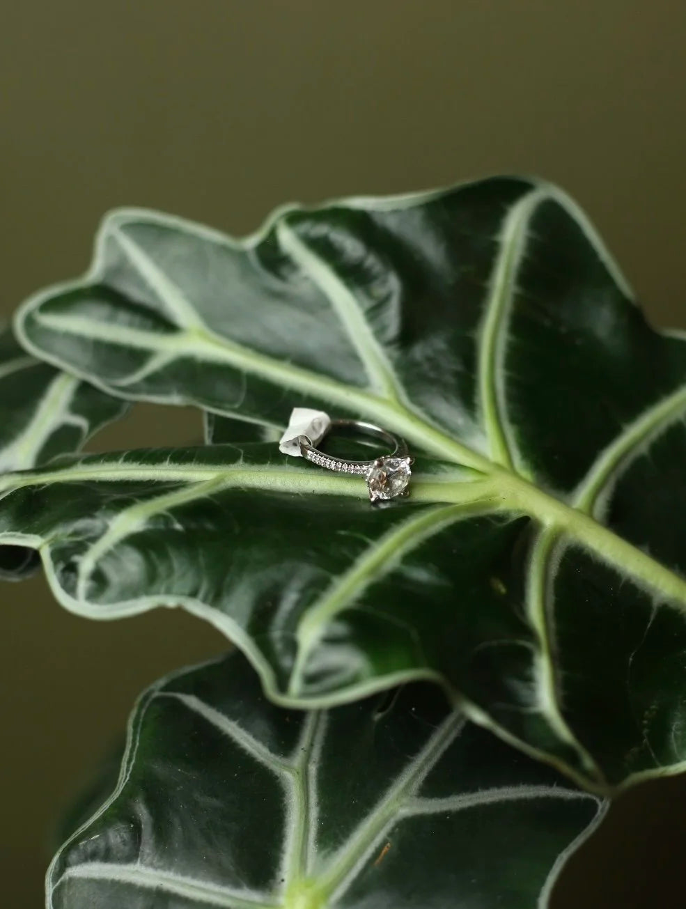 Cubic Zirconia Silver Tone Ring - Size 6.5