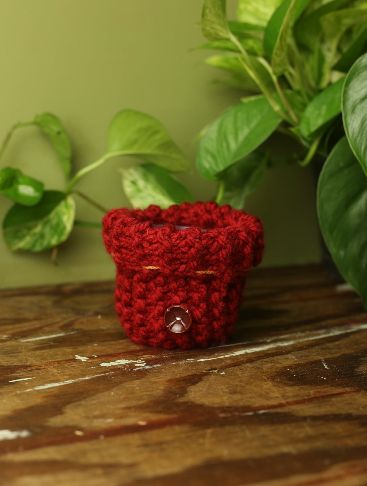 Plant Sweater 3 inch