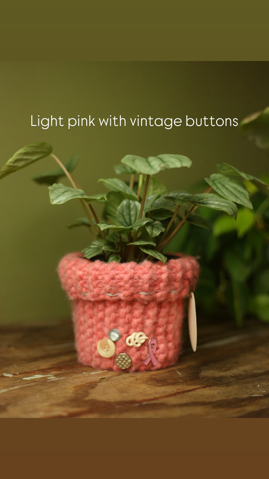 'Knit For A Cause' Plant Sweaters 4 Inch