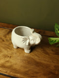 Elephant Plant Pot 3.25"