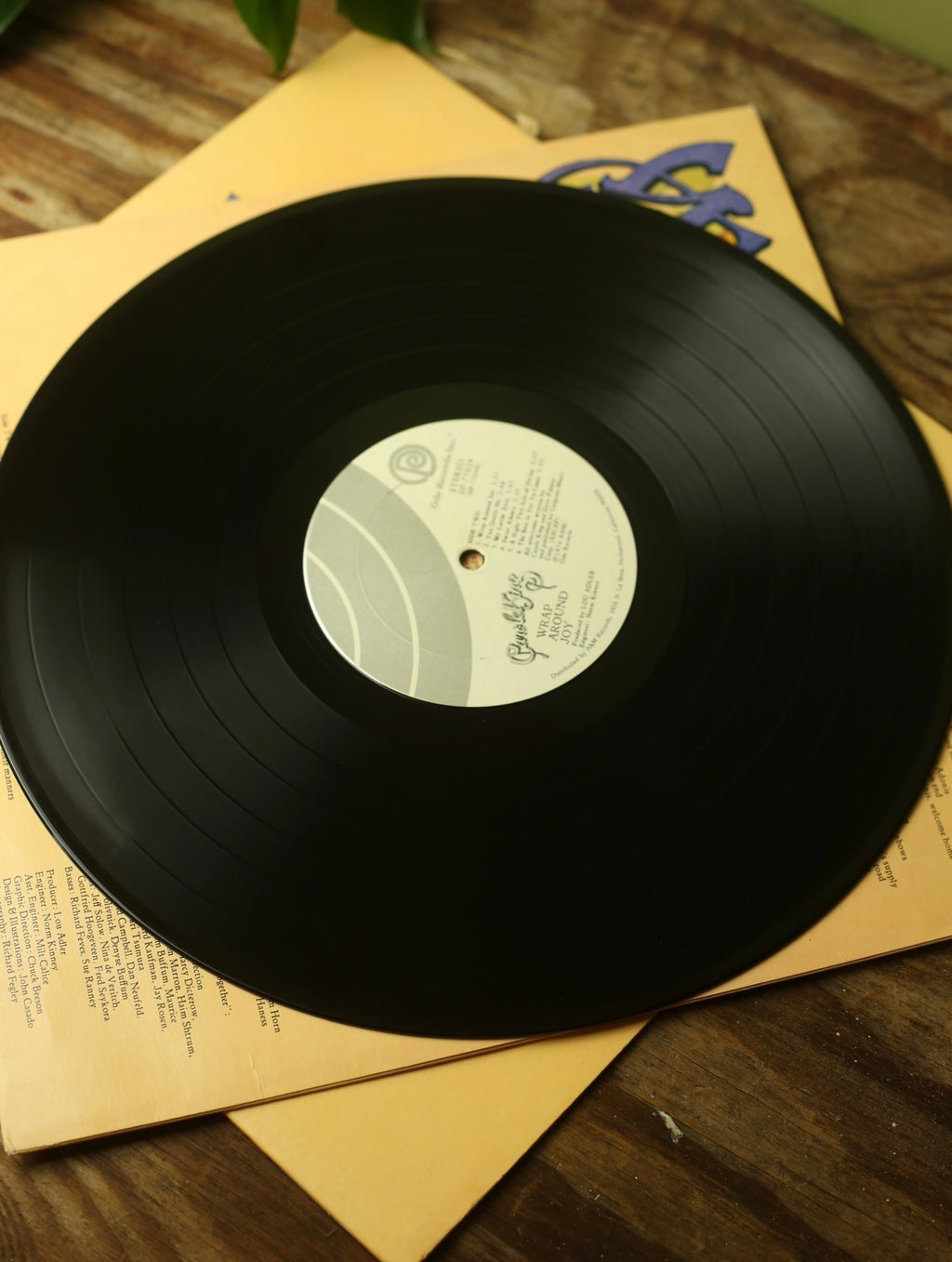 Carole King - Wrap Around Joy