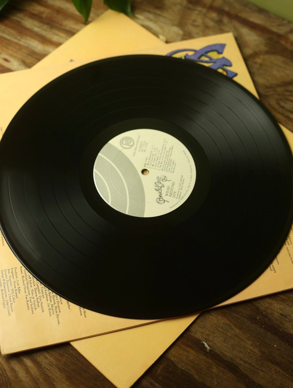 Carole King - Wrap Around Joy