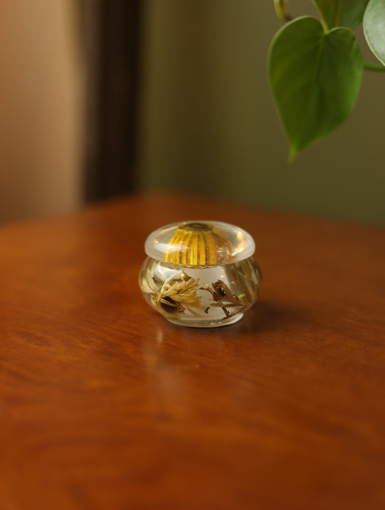 Daisy Mini Resin Jar #1