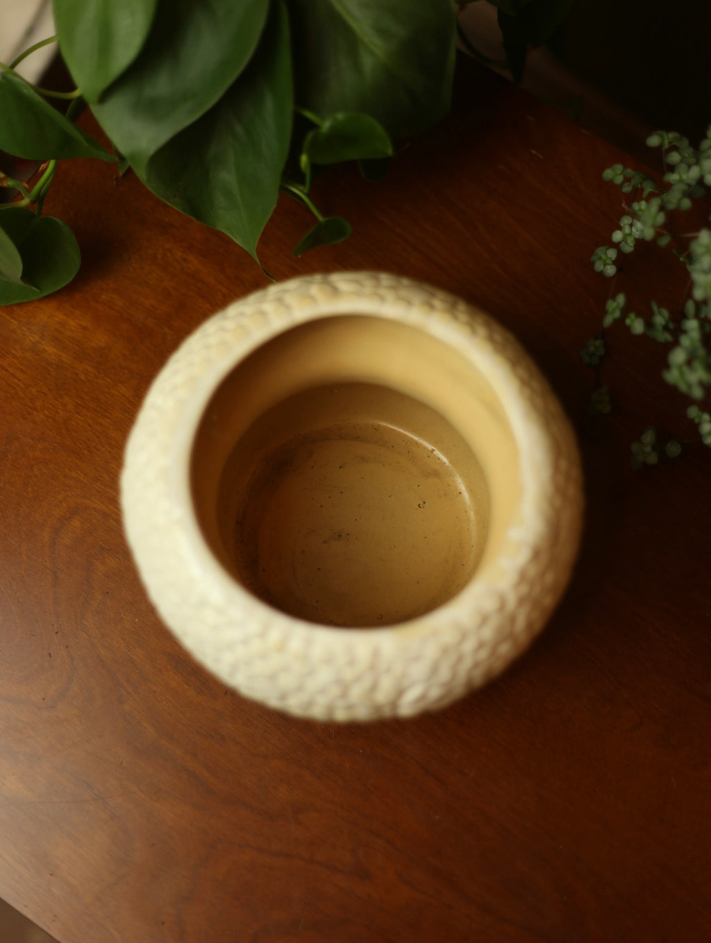 Mushroom Planter