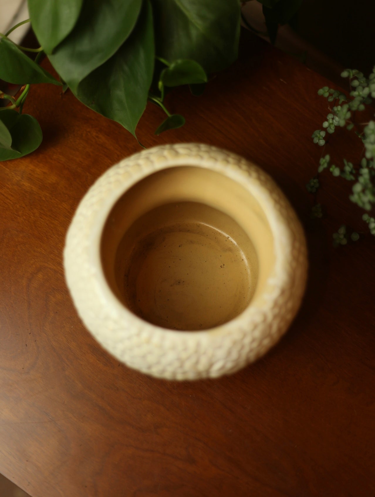 Mushroom Planter