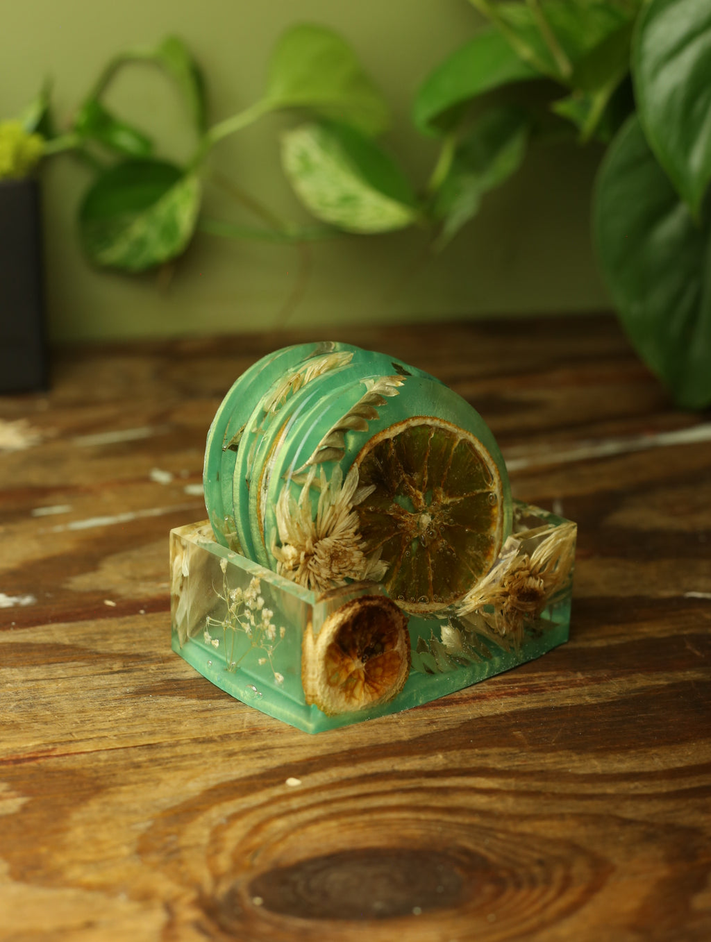 Preserved Flower & Orange Coaster Set