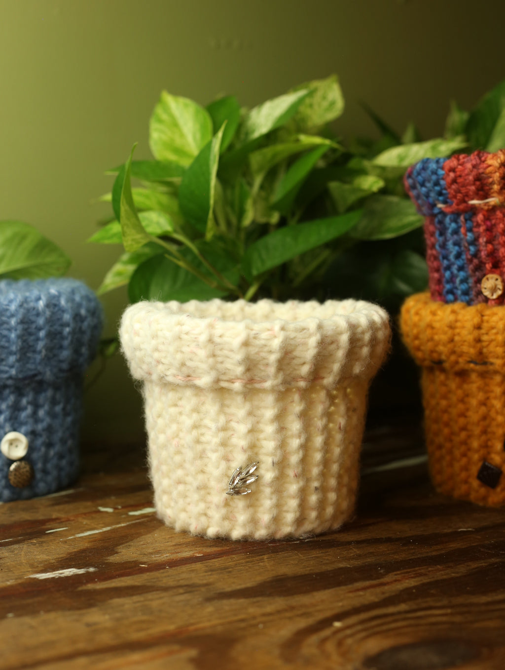 Plant Sweaters 5 inch
