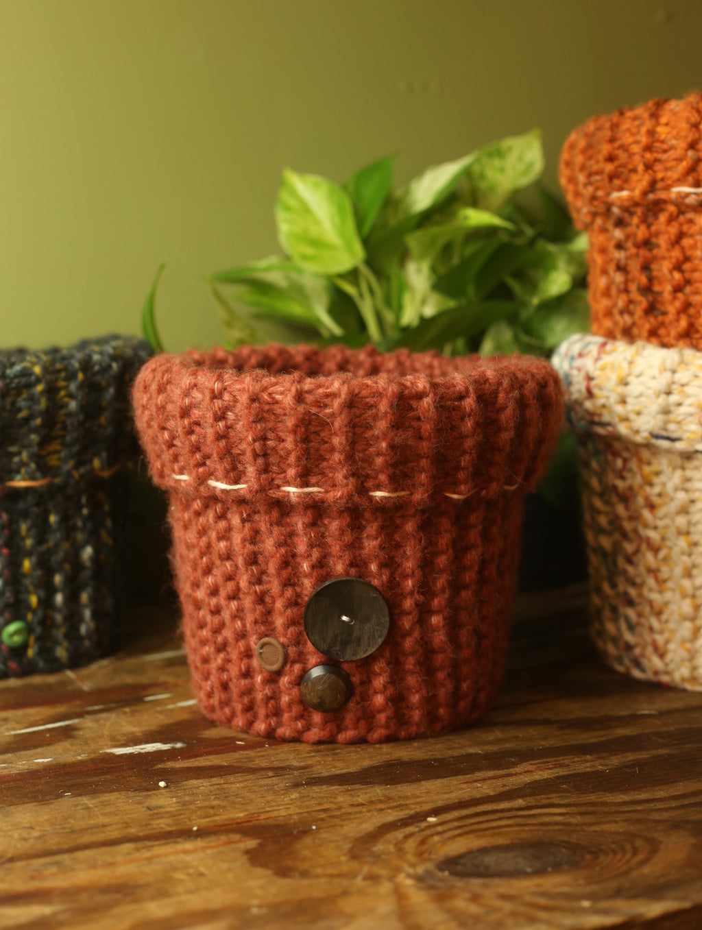 Plant Sweaters 7 inch