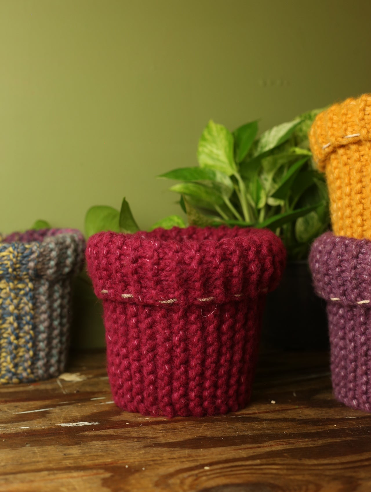 Plant Sweaters 6 inch