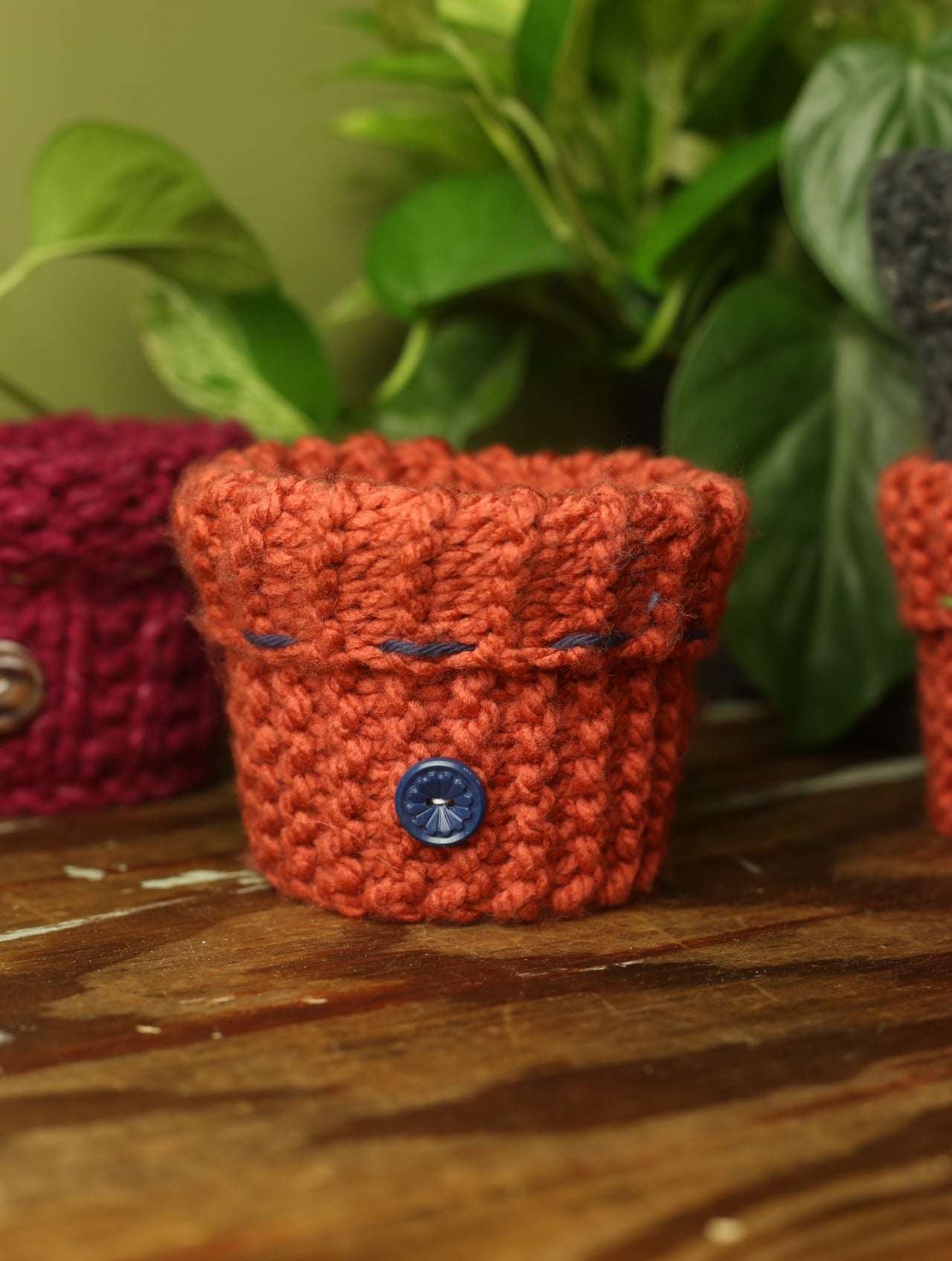 Plant Sweater 4 Inch