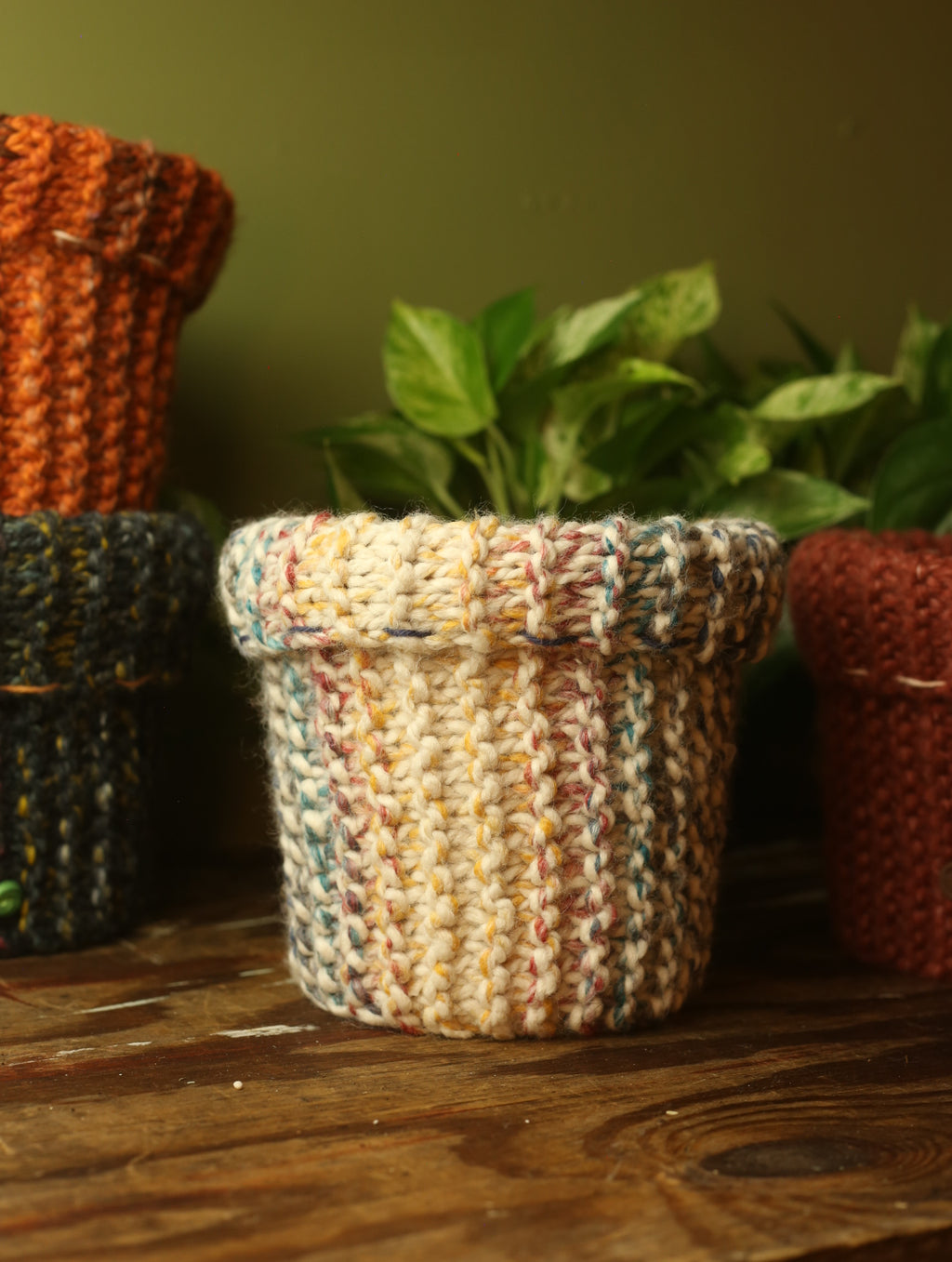 Plant Sweaters 7 inch