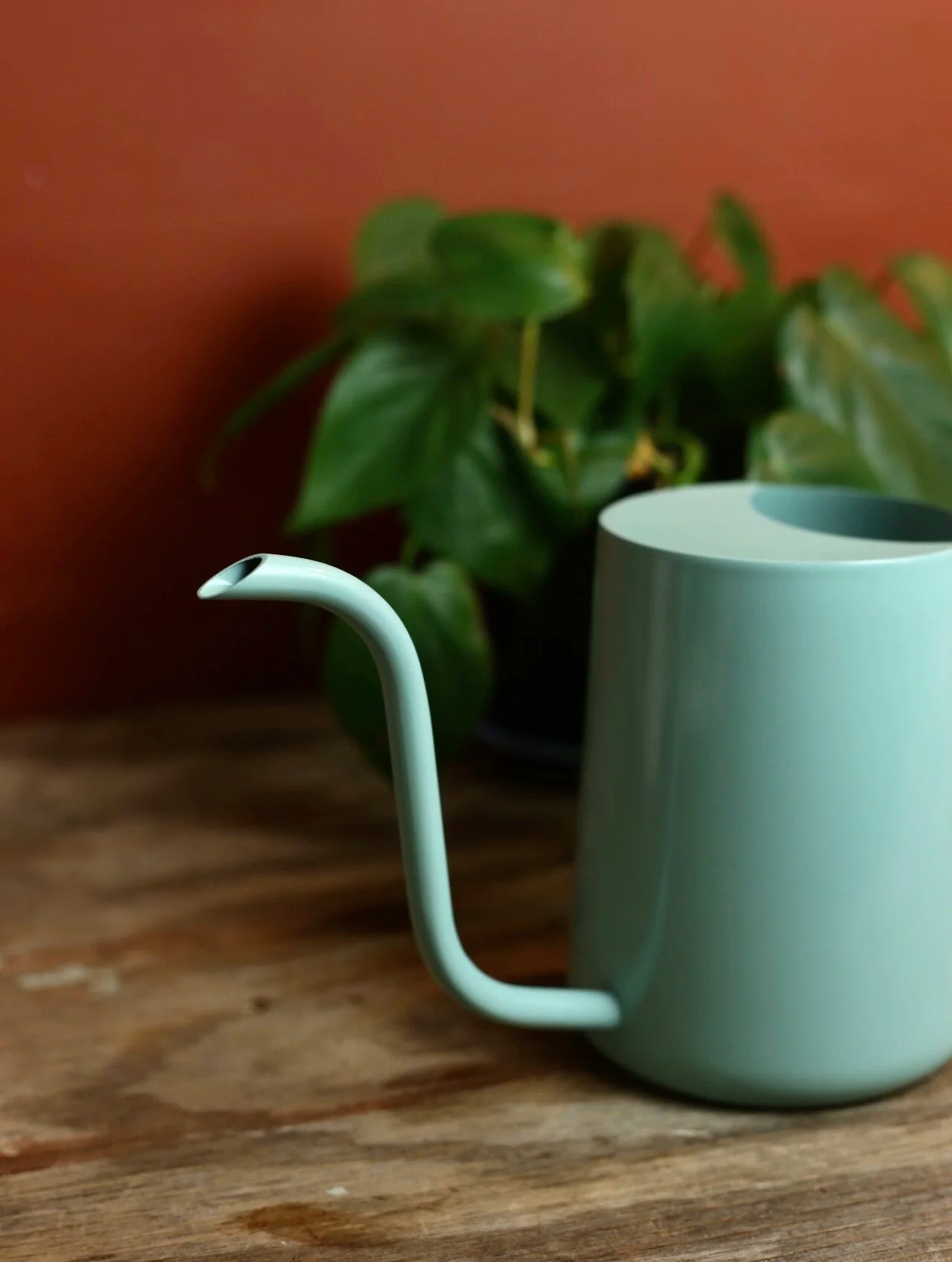 Metal Watering Can