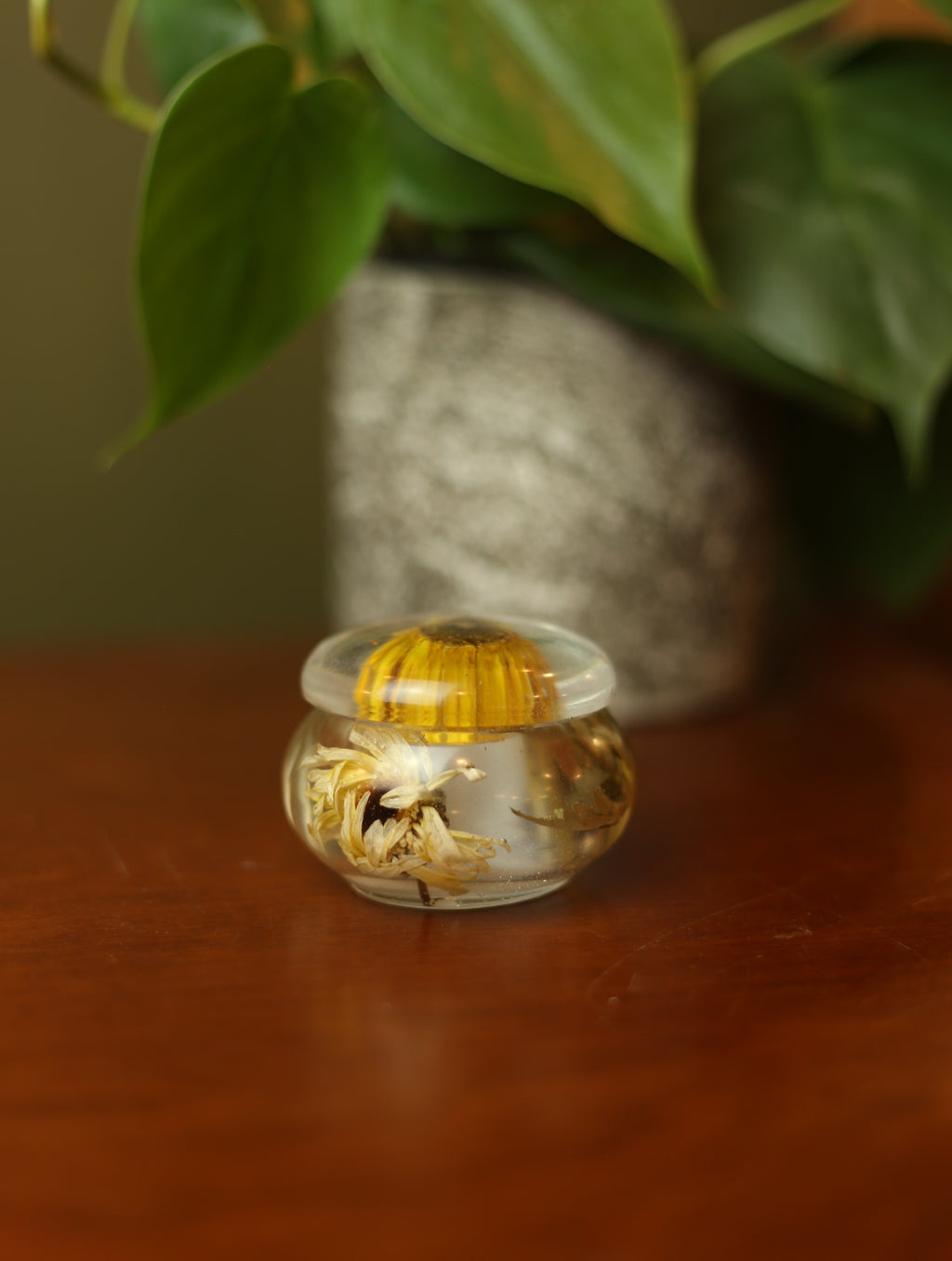 Daisy Mini Resin Jar #1