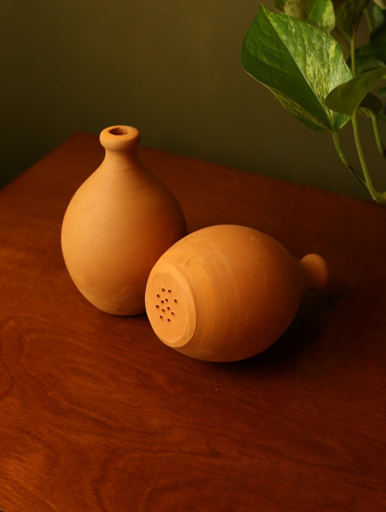 Terracotta watering bell