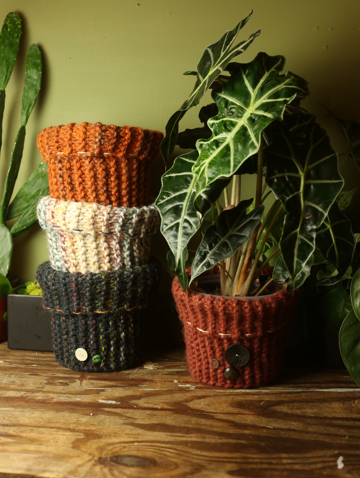 Plant Sweaters 7 inch
