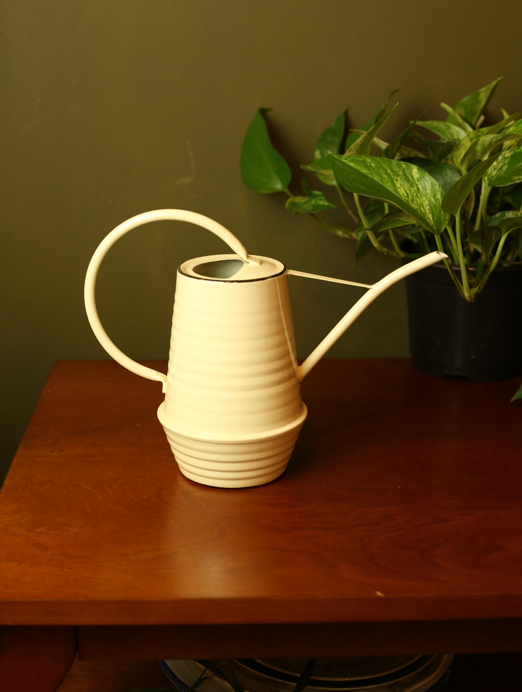 Metal Watering Cans 0.94 L