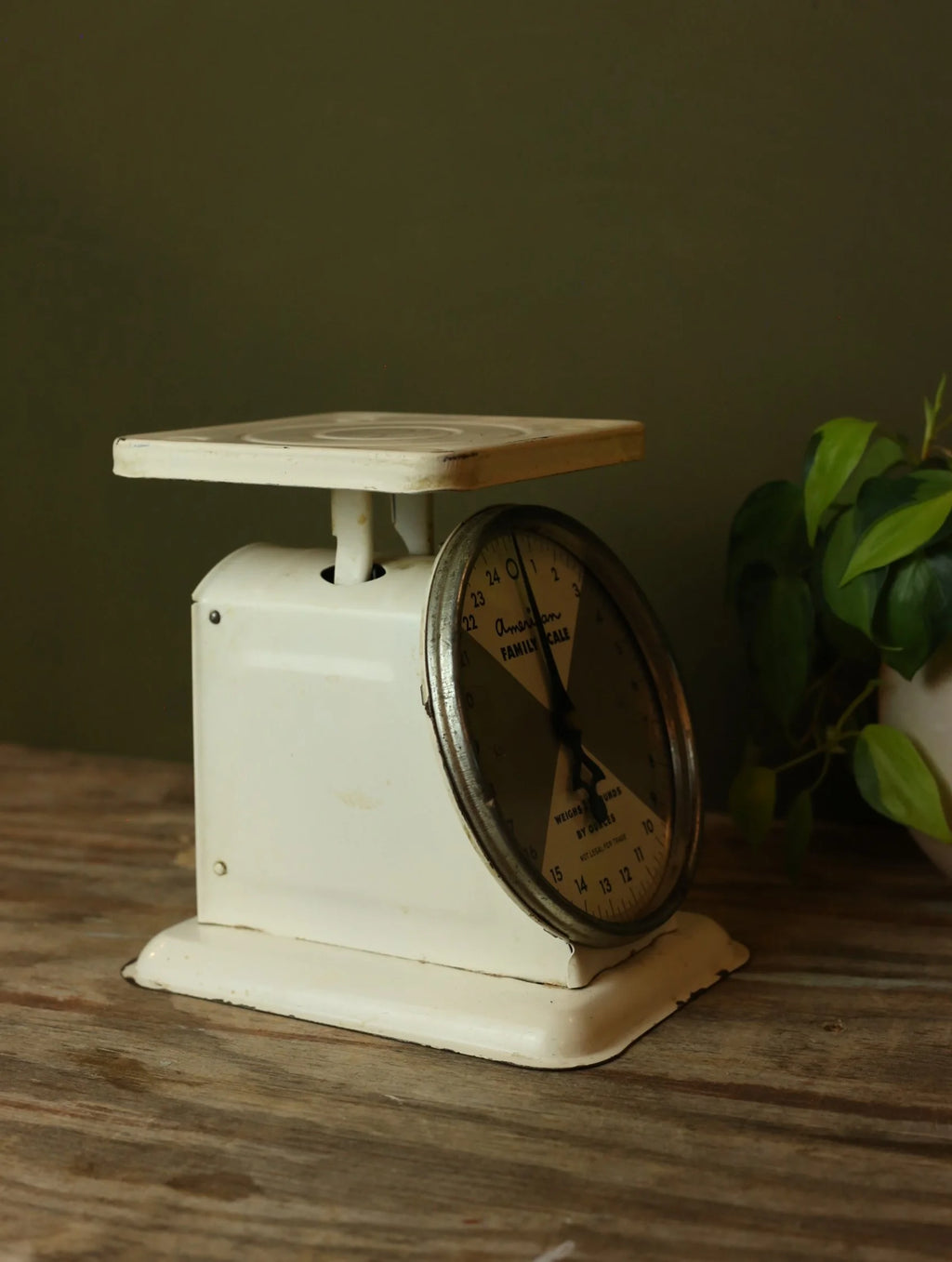 Vintage American Family Scale