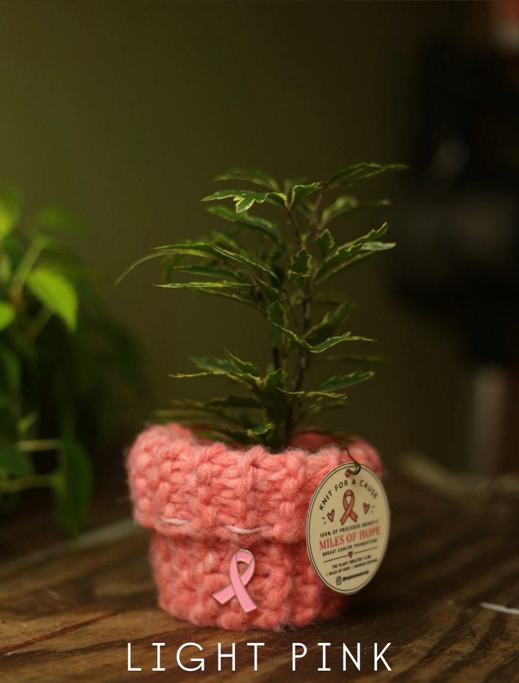 'Knit For A Cause' Plant Sweaters 3 Inch
