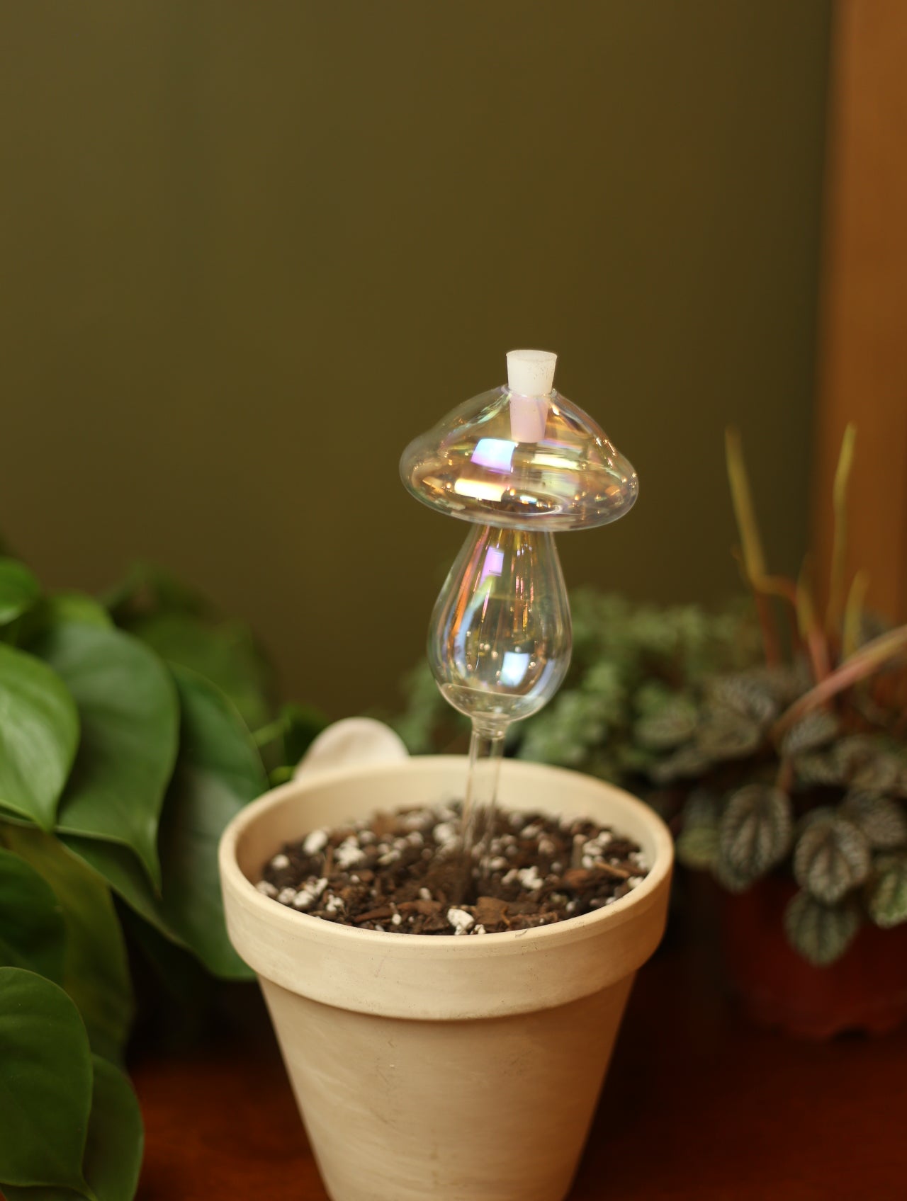 Iridescent Mushroom Plant Watering Globe