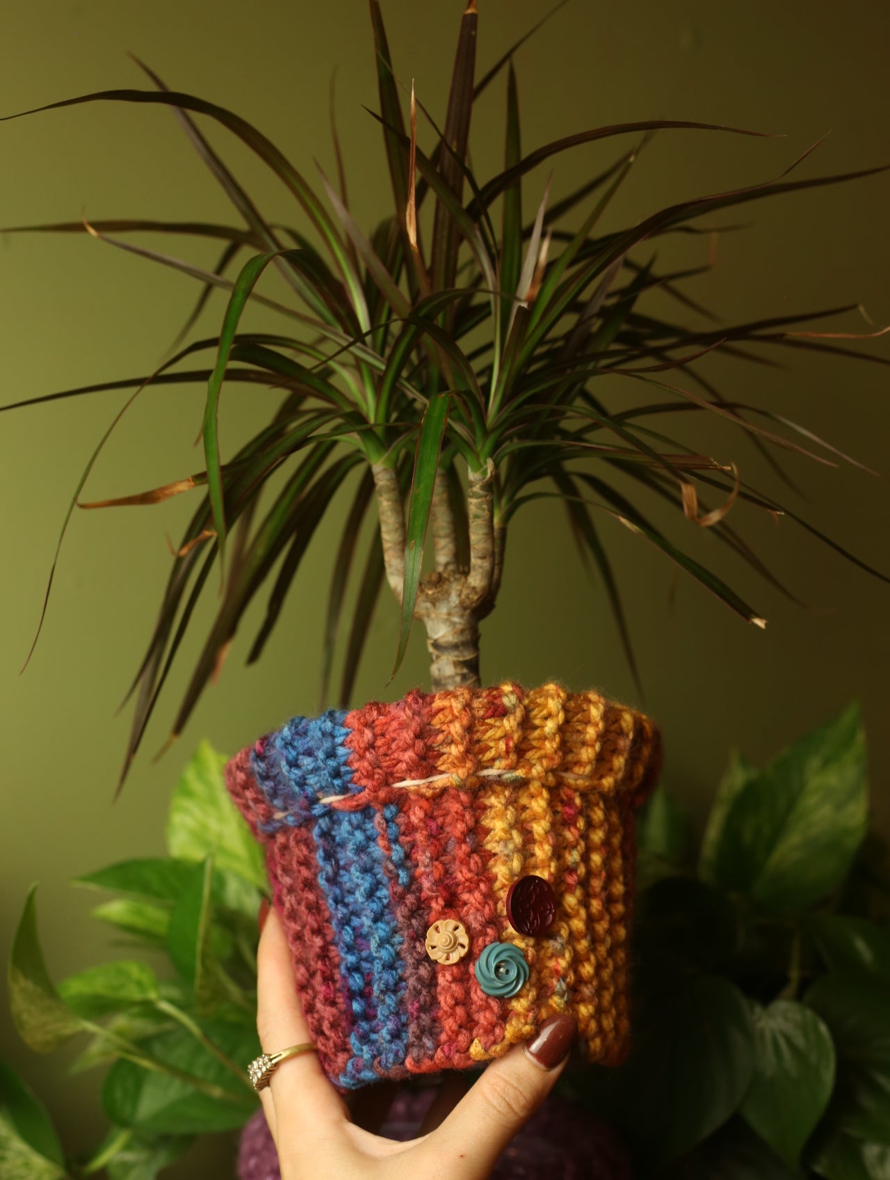 Plant Sweaters 5 inch