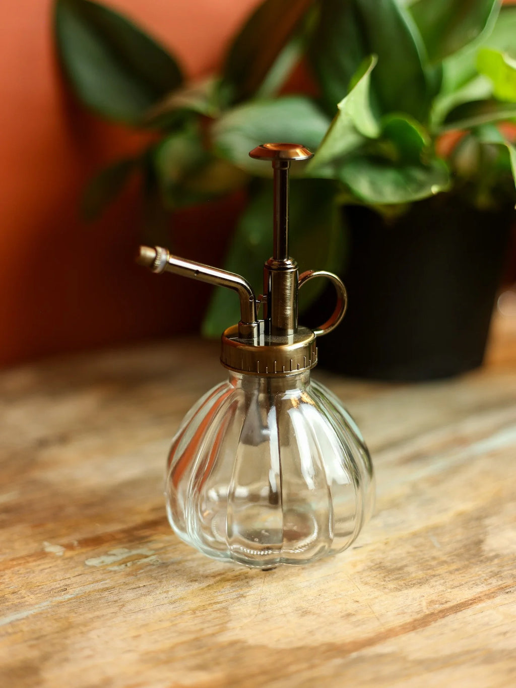 Bronze & Clear Glass Mister