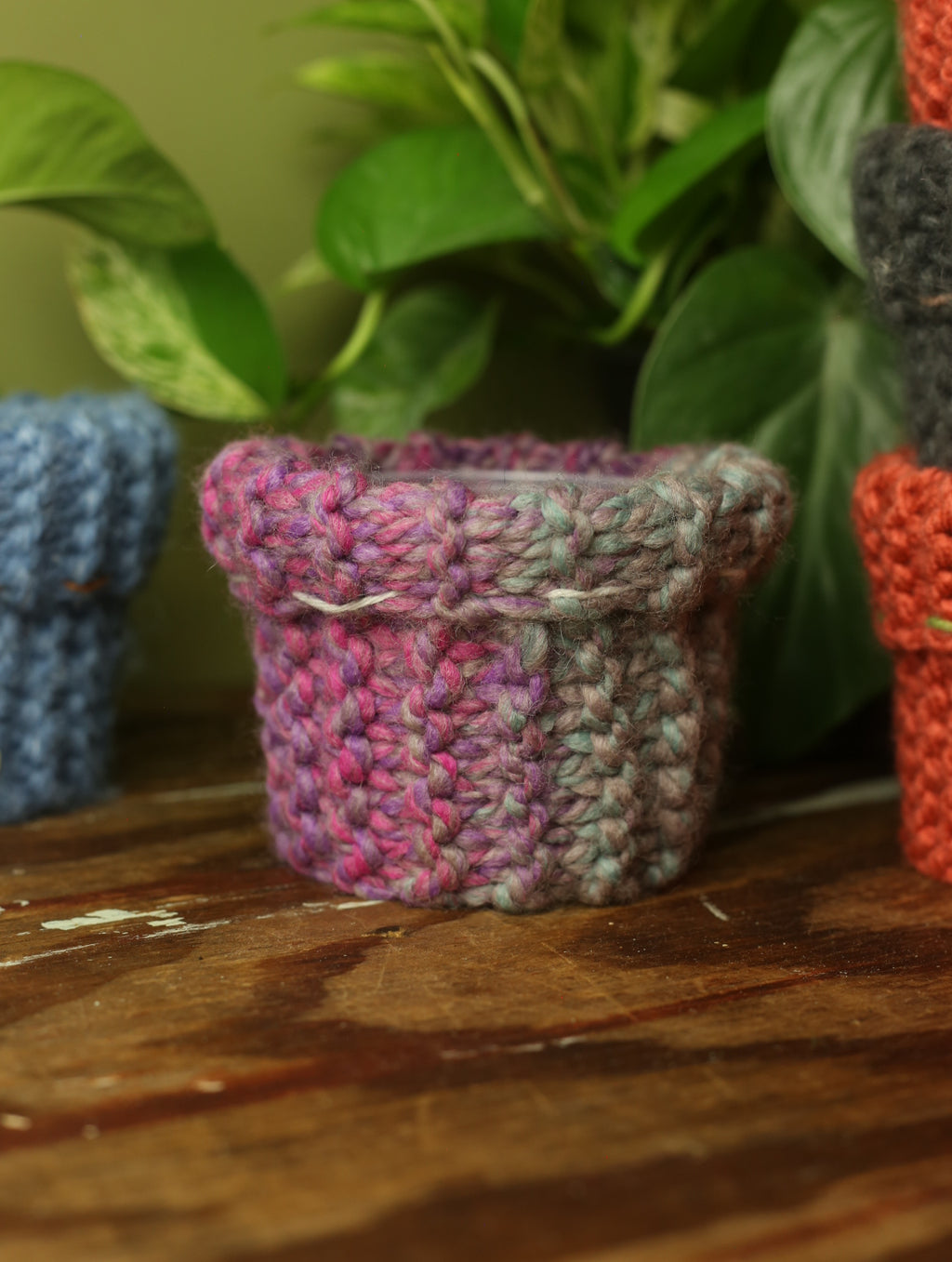 Plant Sweater 4 Inch