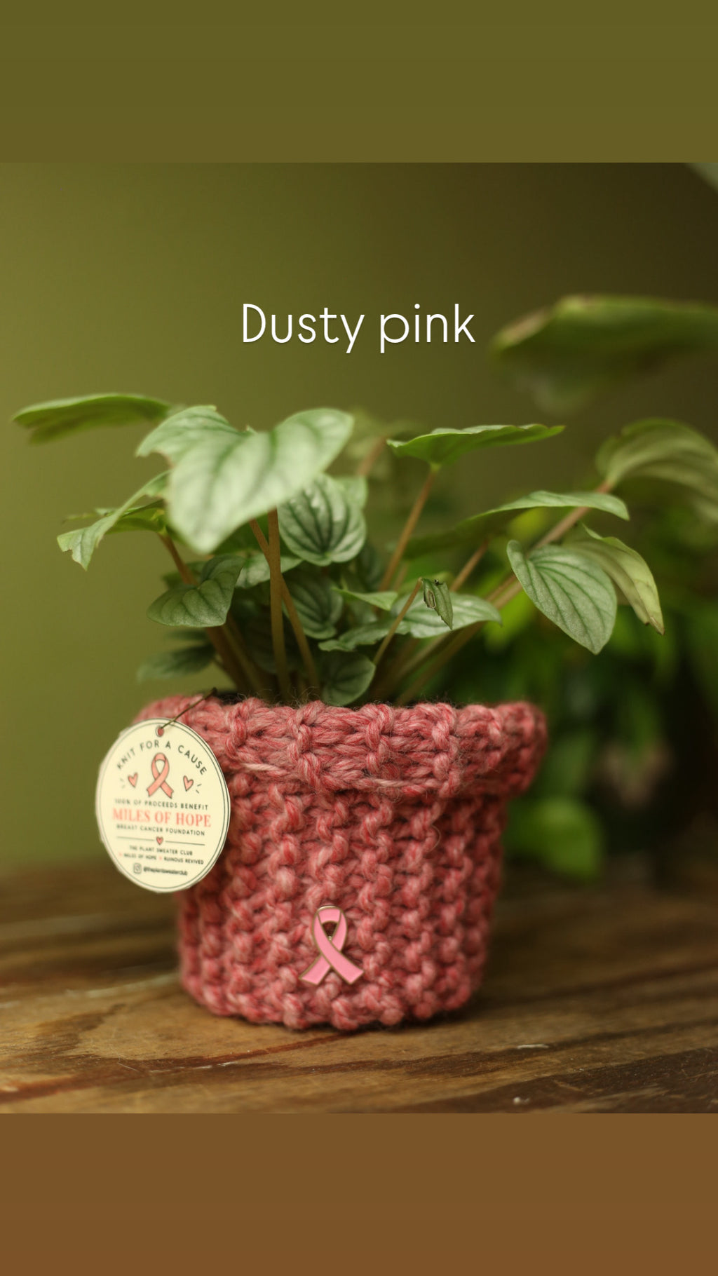 'Knit For A Cause' Plant Sweaters 4 Inch
