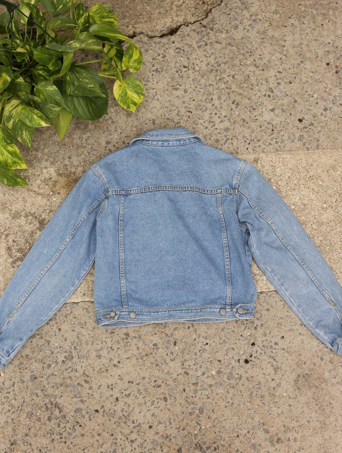 Etam women's denim jacket