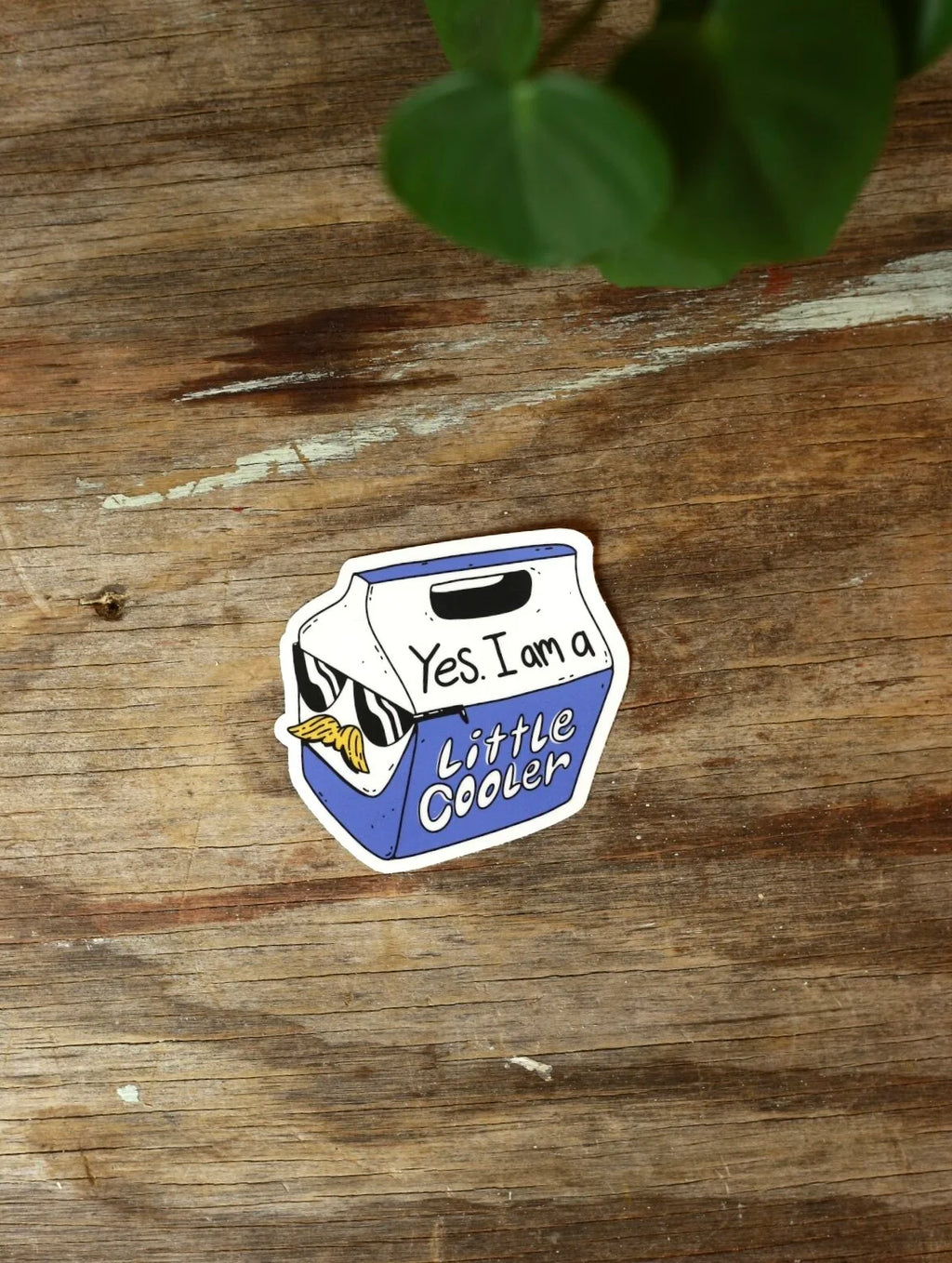 Yes. I am a Little Cooler Sticker