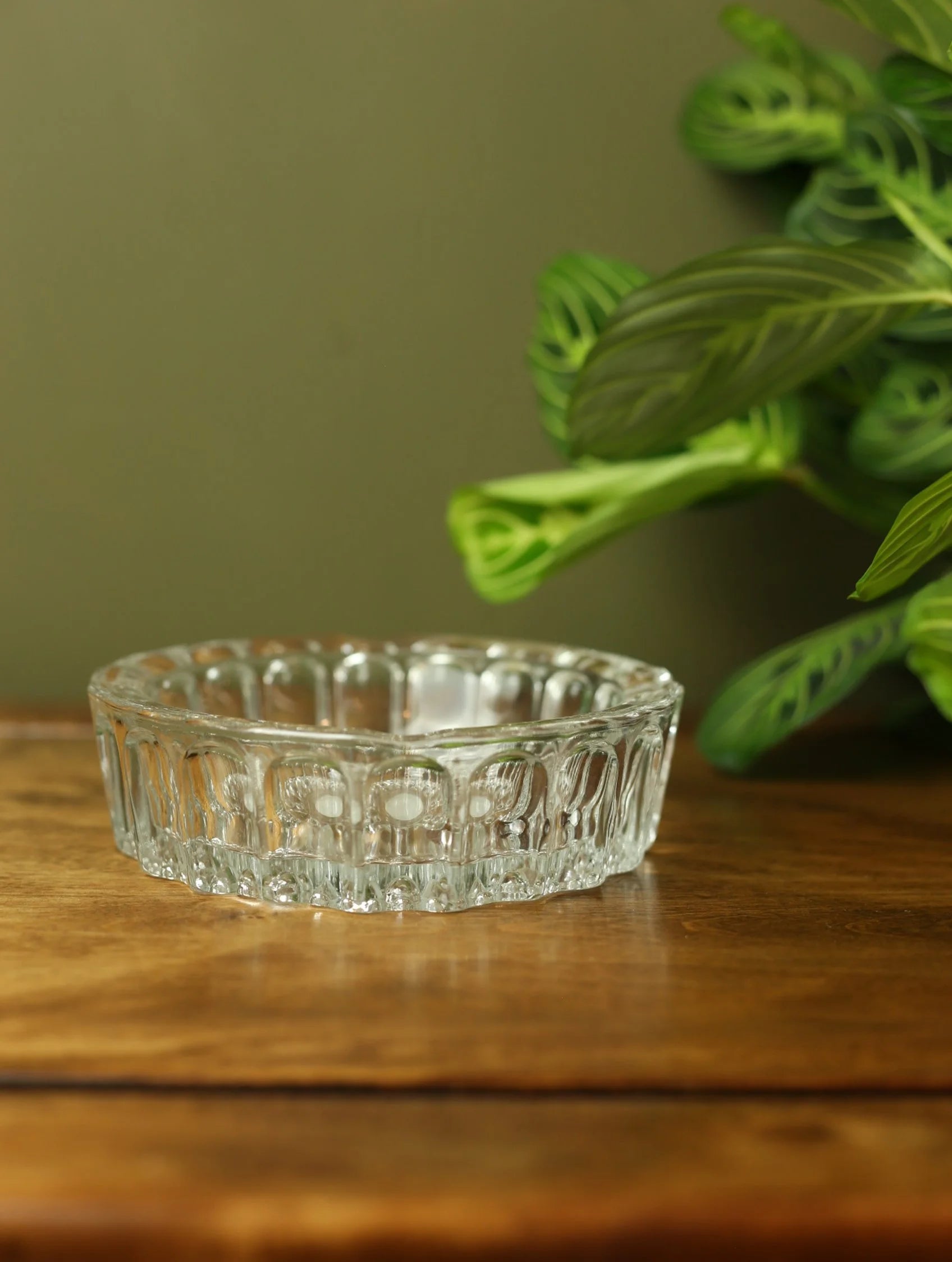 Bubble Glass Bowl